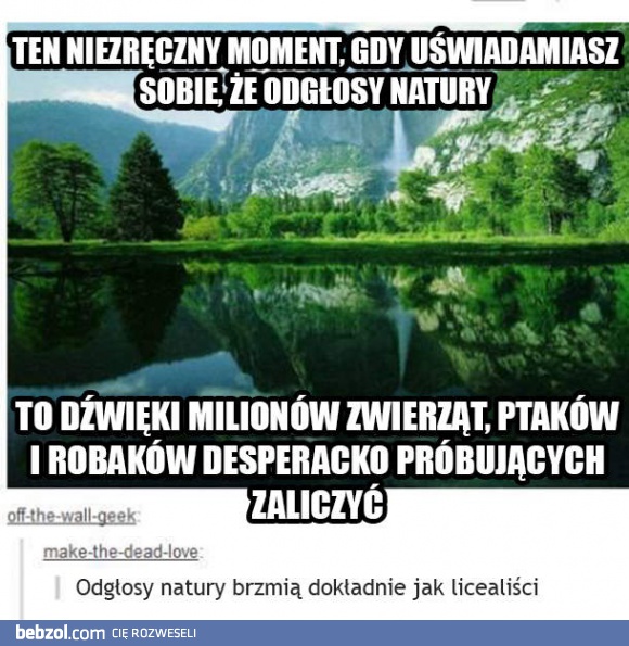 Odgłosy natury