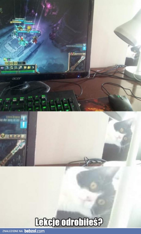Lekcje odrobiłeś?