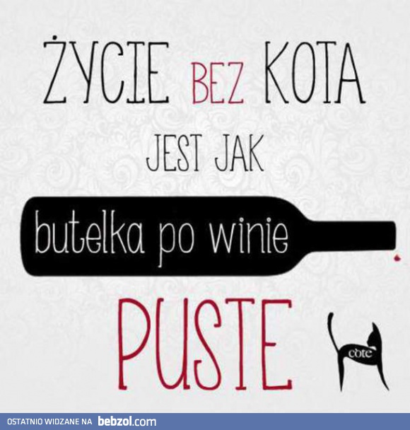 Życie bez kota jest jak...