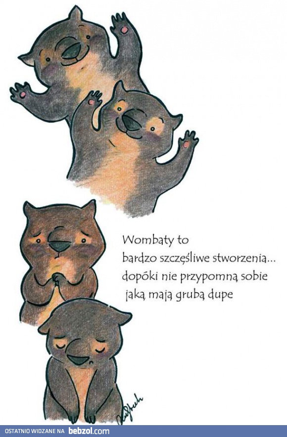 Wombaty to szczęśliwe stworzenia. Do czasu...