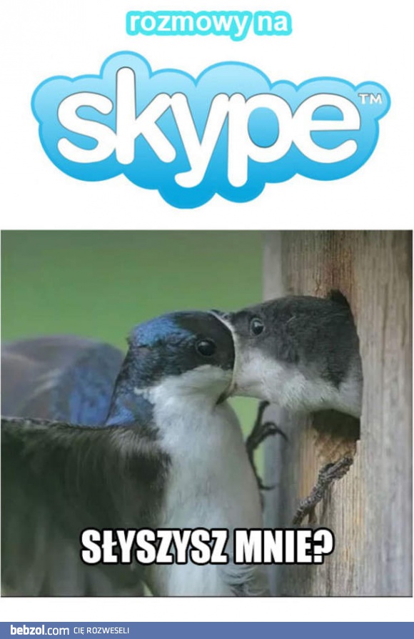 Typowa rozmowa na Skype