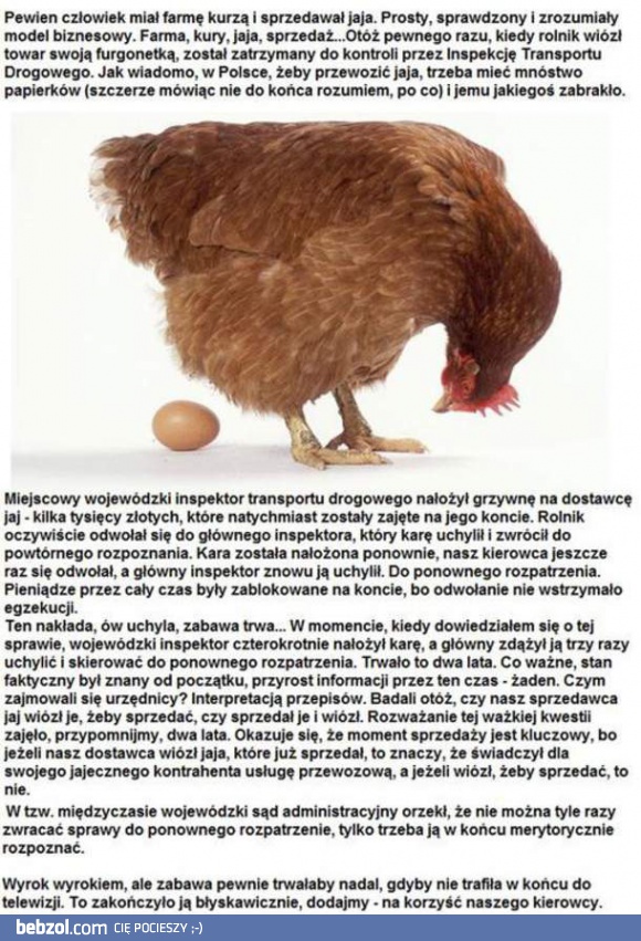 Niezłe jaja przez 2 lata