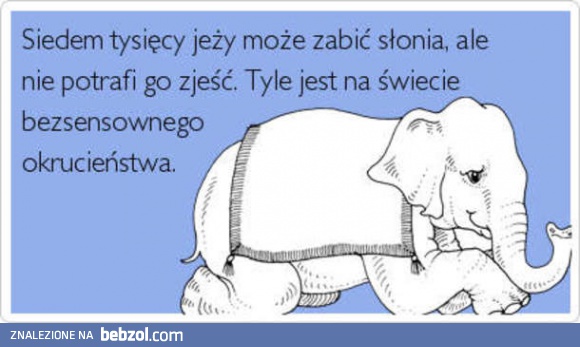 Bezsensowne okrucieństwo