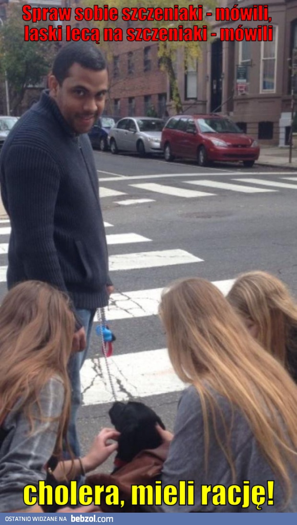 Laski i małe pieski