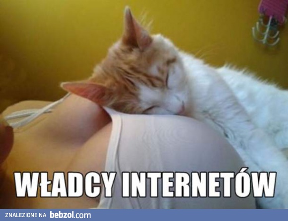 To co w necie najlepsze