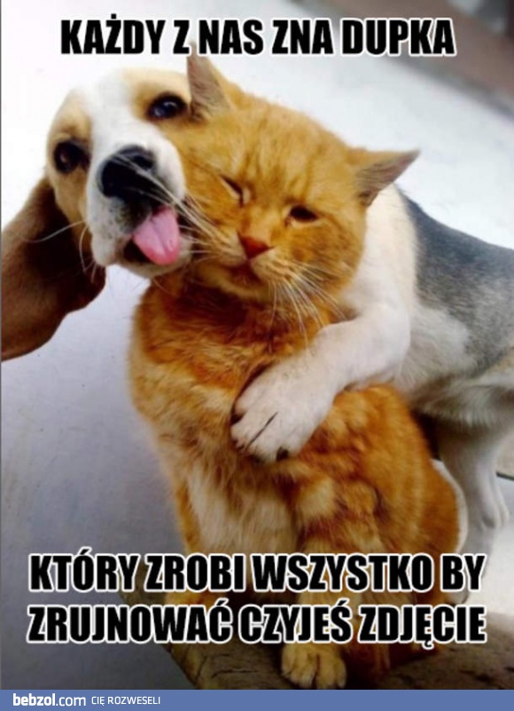 Każdy z nas zna kogoś takiego