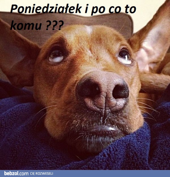 Nadchodzi poniedziałek