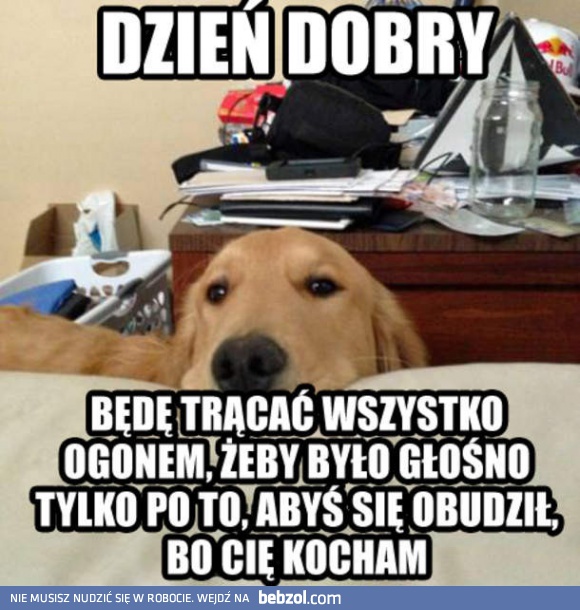 Dzień dobry!