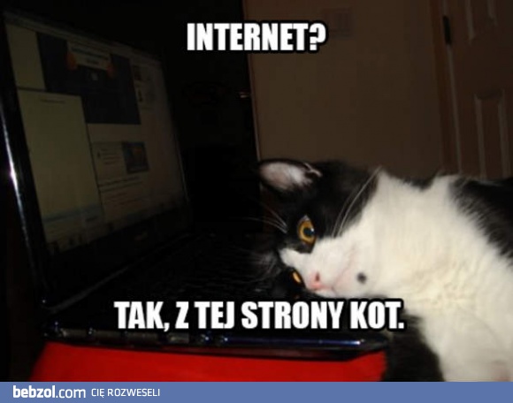 Halo halo, dzień dobry