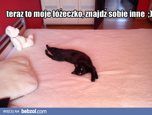 To moje łóżeczko!