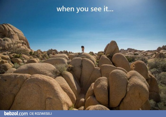 Widzisz to samo co ja?