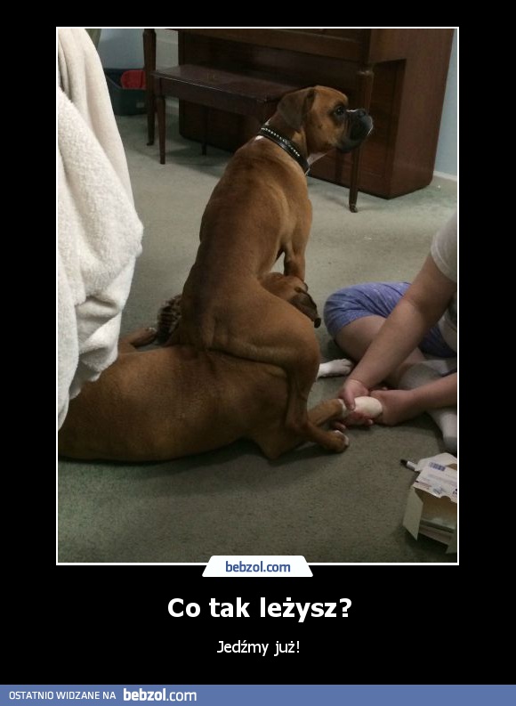 Co tak leżysz?