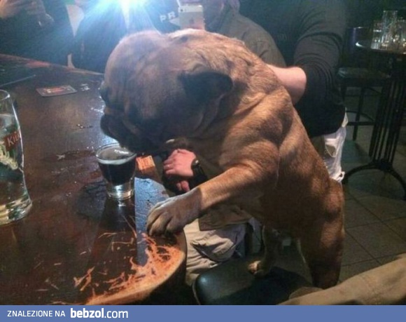 No ze mną się nie napijesz?!