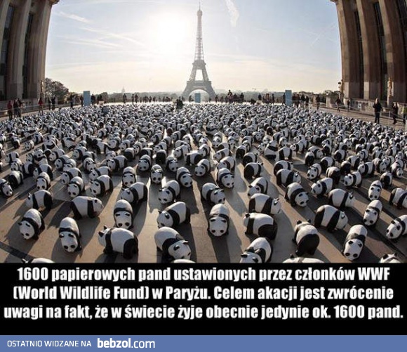 Ratujmy pandy!