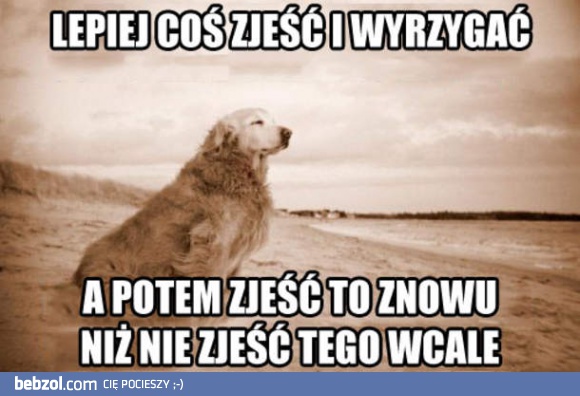 Pies wie lepiej