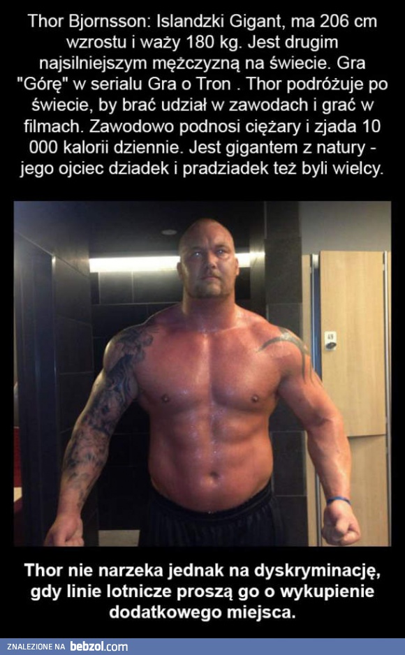 Kilka słów o prawdziwym gigancie