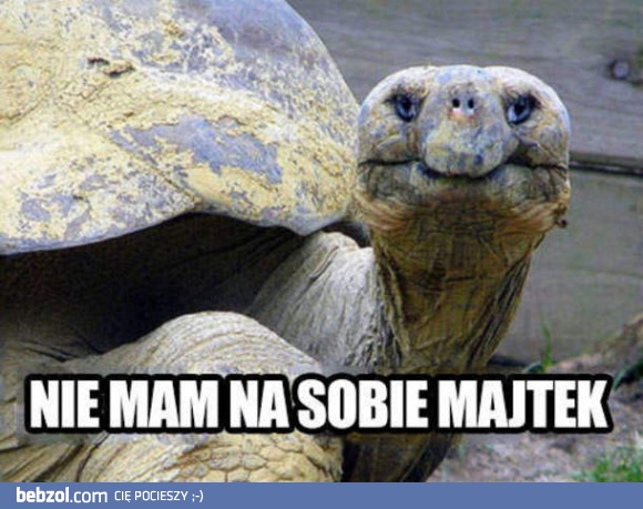 Uwodzicielskie spojrzenie