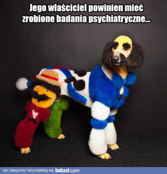 Najbardziej obciachowy pies świata