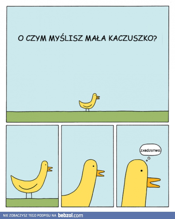 O czym myśli mała kaczuszka?