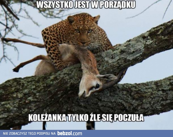 Wszystko w porządku, proszę się nie przejmować