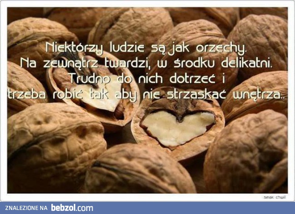 Niektórzy są jak orzechy