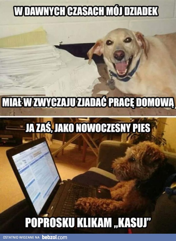 Praca domowa wersja współczesna