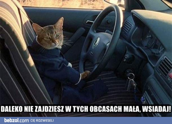Hej mała, wsiadaj!