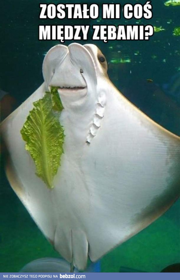 Mam coś między zębami?