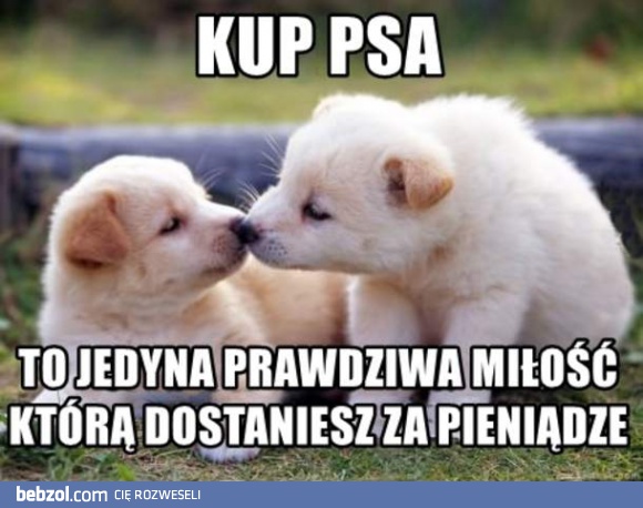 Miłość za pieniądze