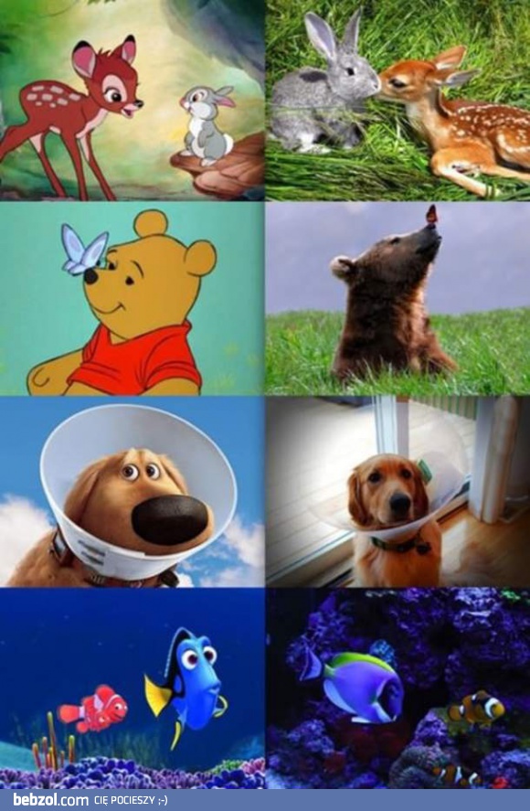 Bajka vs prawdziwy świat