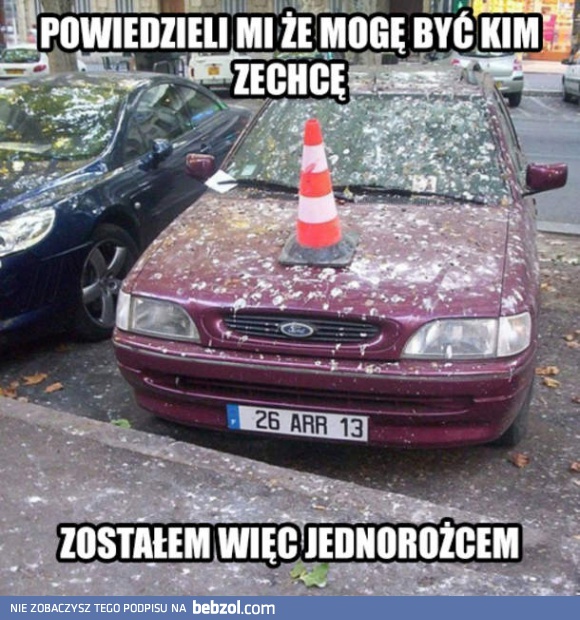 Ford jednorożec
