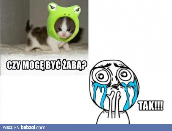 Mogę być żabą?
