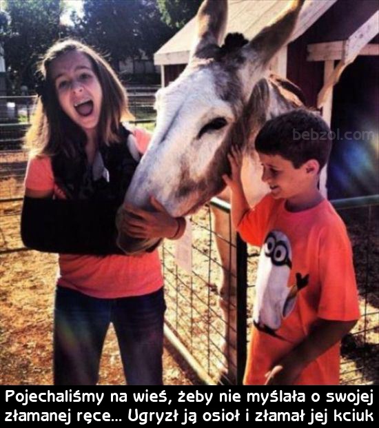 Nienawidzę poniedziałków (14 zdjęć)