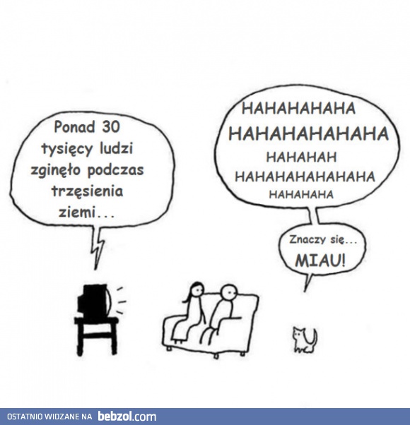 Takie właśnie są koty?