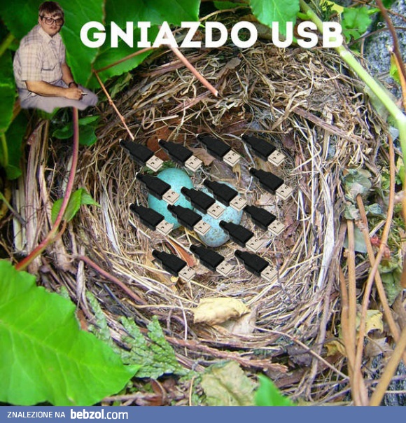 Gniazdo usb
