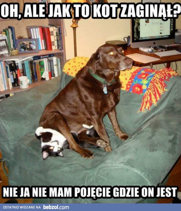 Nie widziałem go