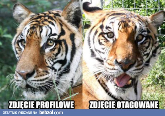 Typowe zdjęcia na fejsie