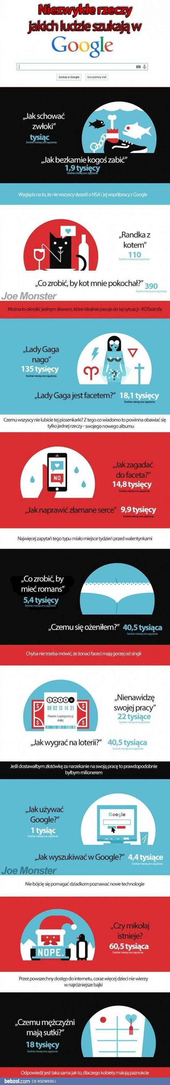 Czego ludzie szukają w internecie?