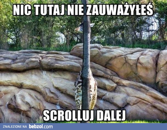 Znalazłeś tajniaka?