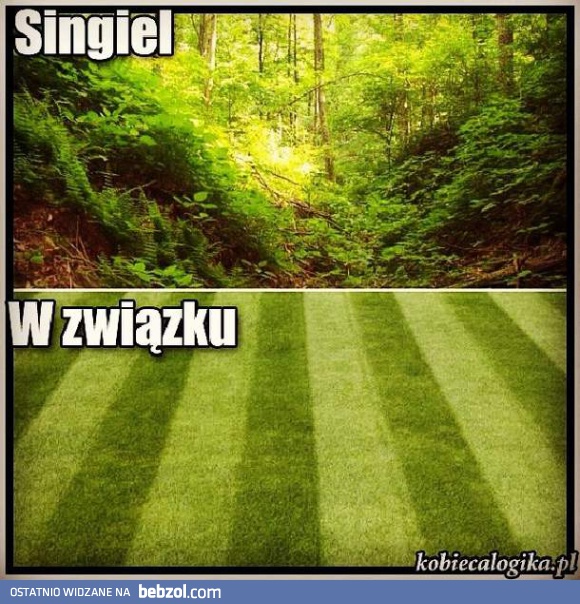 Jeśli wiesz co mam na myśli