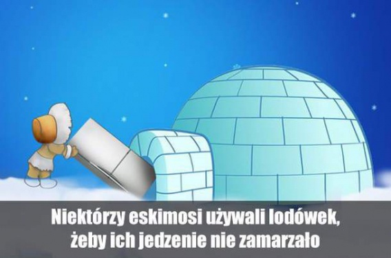 23 ciekawostki, dzięki którym poczujesz się mądrzejszy