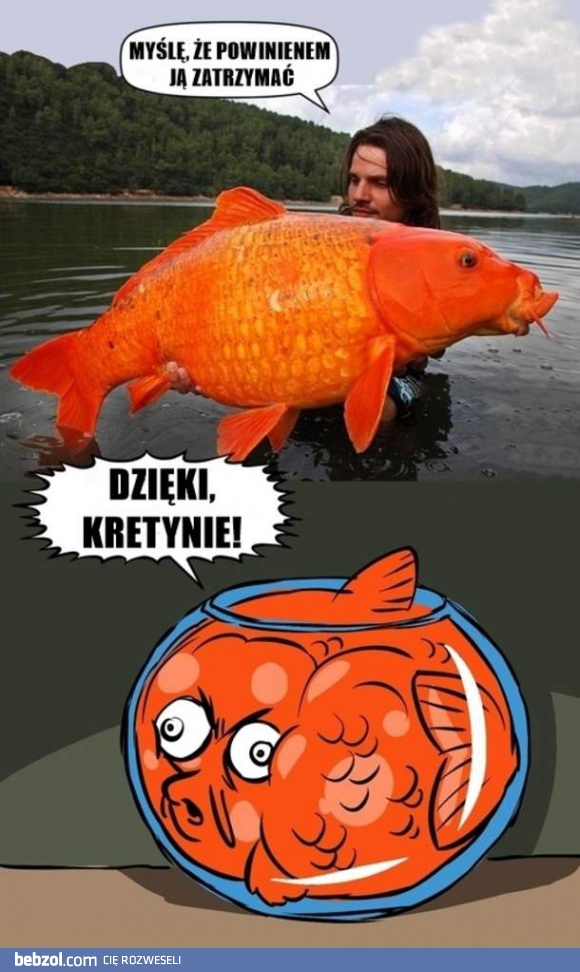 Chyba powinienem ją zatrzymać