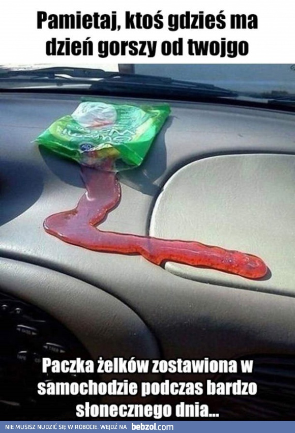 Tego się nie spodziewali