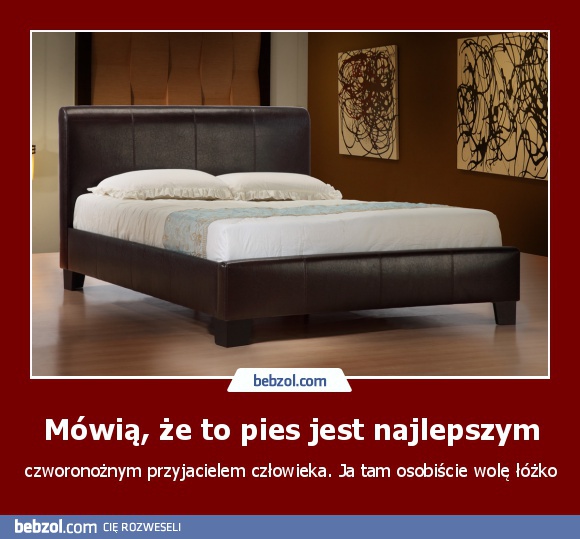 Mówią, że to pies jest najlepszym