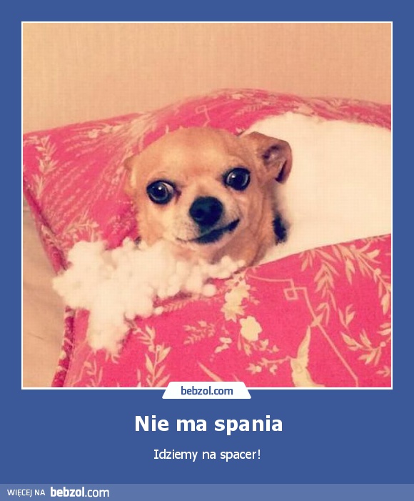 Nie ma spania
