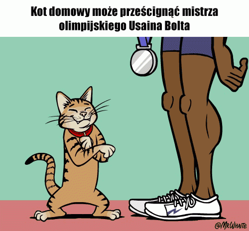 18 ciekawostek ze zwierzętami w roli głównej