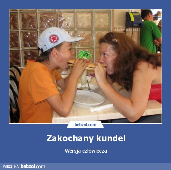 Zakochany kundel