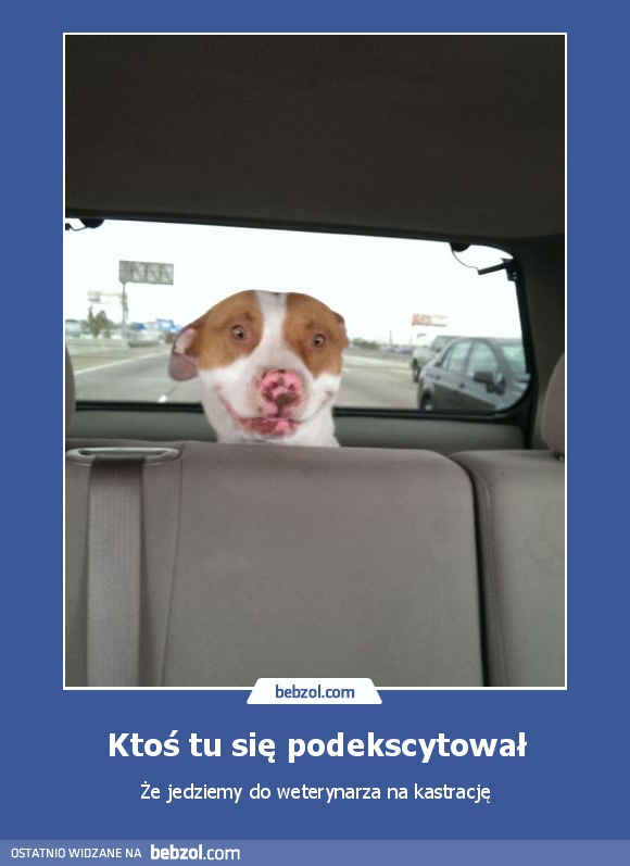 Ktoś tu się podekscytował