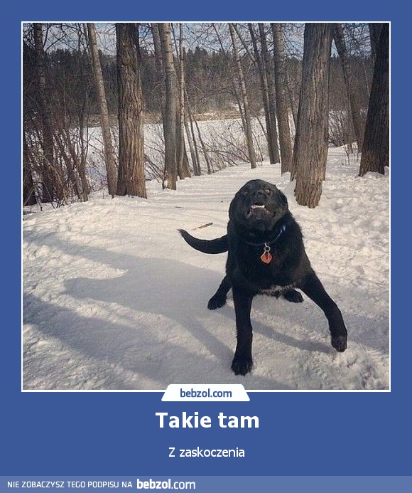 Takie tam