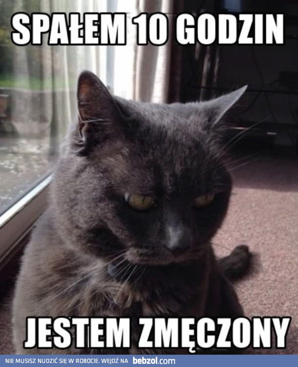 Ja chcę do łóżka